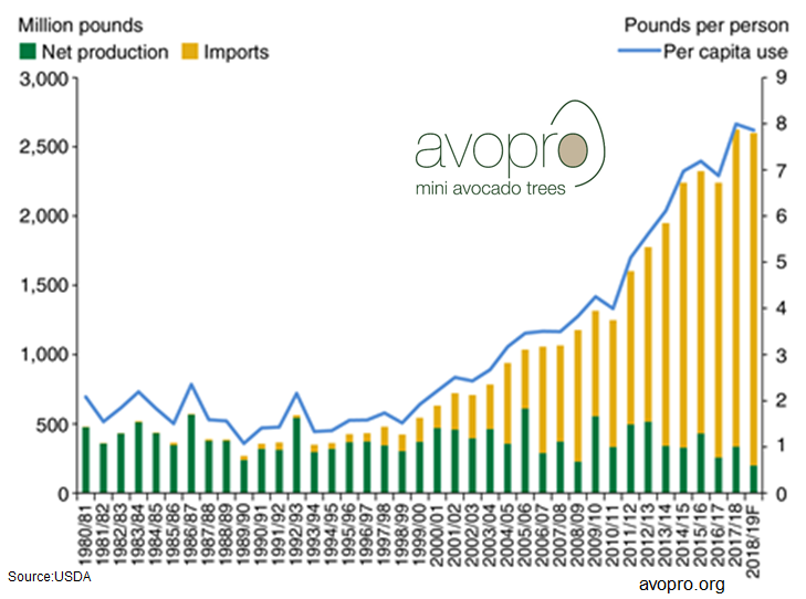 avocado consumption stats