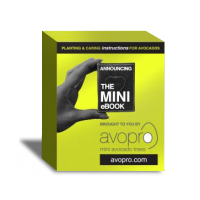 Avopro Mini Ebook