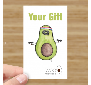 avopro-gift-card-1_922807794
