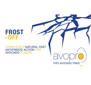 frost_off_avopro_1913795232