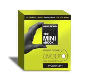 Avopro Mini Ebook