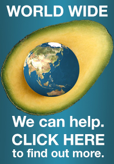 avopro avocado world ad